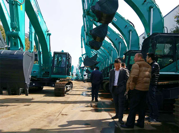 快来看，快来看，这里有一群绿精灵